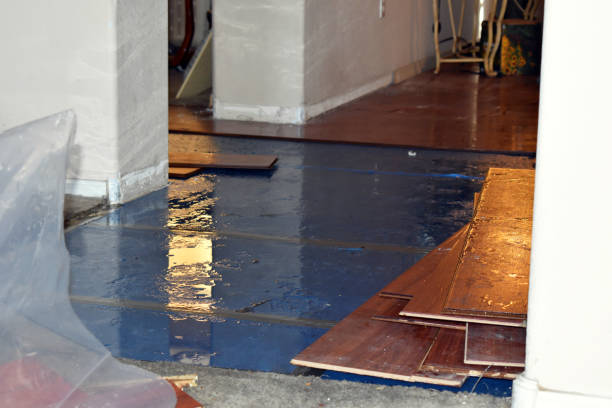 Professional Emergency Water Damage Restoration technician working in Windsor, IL